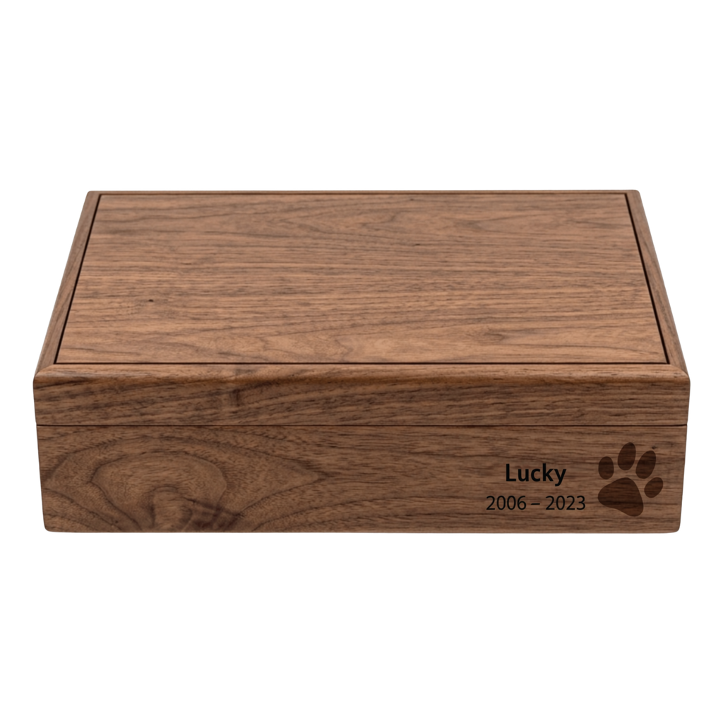 legacy stories co (2)